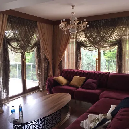 Villa Sapanca’da Orman Ve Göl Manzaralı Malikane